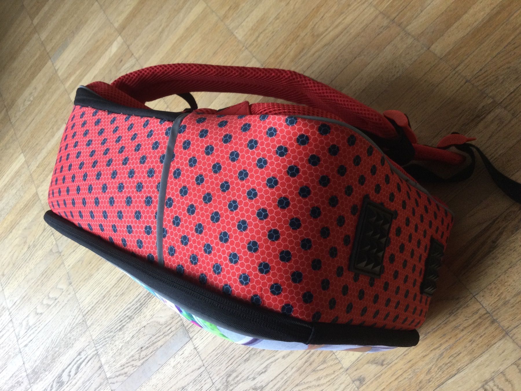 Zaini: LadyBug Rucksack – Usato da Zürich venduto da ShadowVorlon 4