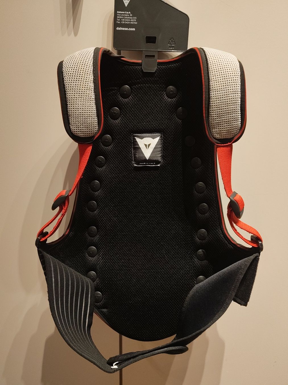 Dainese Schutz & Schoner: Dainese Rückenprotektor – Gebraucht aus Seuzach von dan1991 1