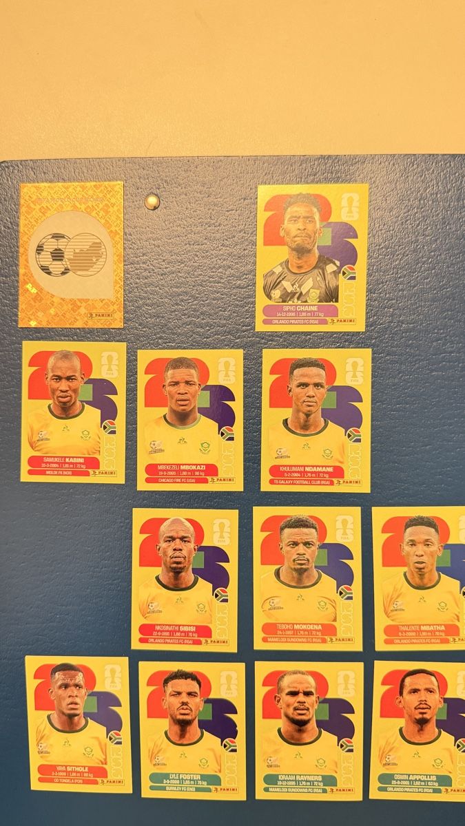 Panini Carte collezionabili: Panini RSA – Nuovo (secondo la descrizione) da Oberhasli venduto da Alanickal 1
