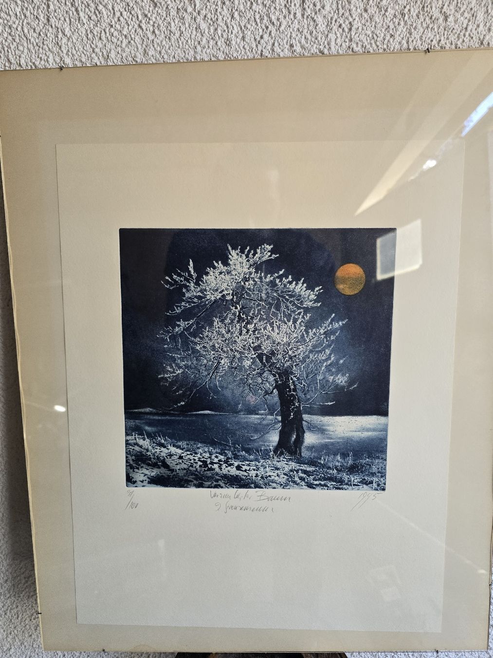Foto & Immagini: Original Radierung "Verschneiter Baum" – Usato da Winterthur venduto da UmzugsFundgrube 2