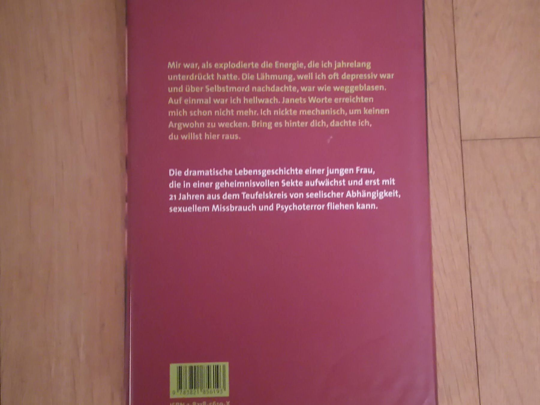 Audiolibri: Lea Saskia Laasner / Seelenfänger – Usato da Luzern venduto da Einh0rn 1
