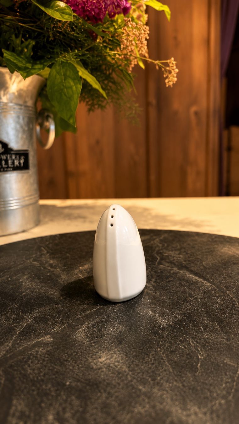 Services de table: Designer Salz- oder Pfefferstreuer – D'occasion à Pragg-Jenaz par sommerfeld1312