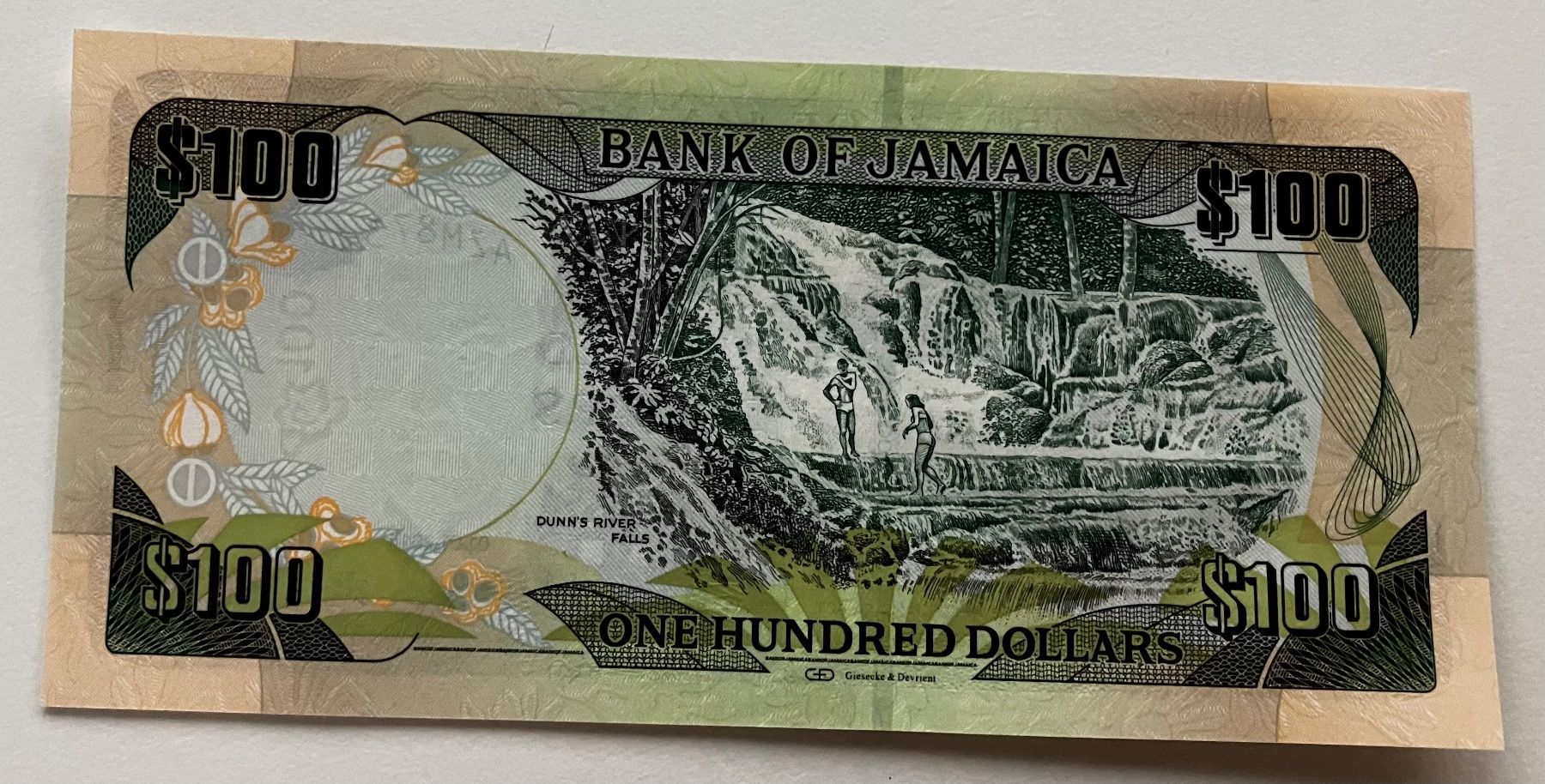 Banconote: Jamaika 100 Dollars Neuwertig 2014 – Nuovo (secondo la descrizione) da Algetshausen venduto da Carrhard 1