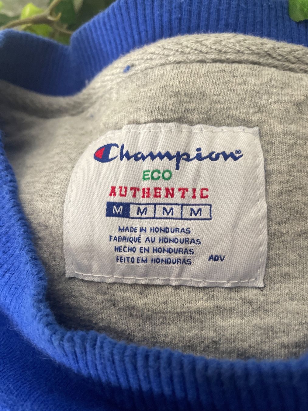 Champion Pullover & Sweatshirts: Champion Sweatshirt hell blau M. – Gebraucht aus Capolago von LA.BOTTEGA 3