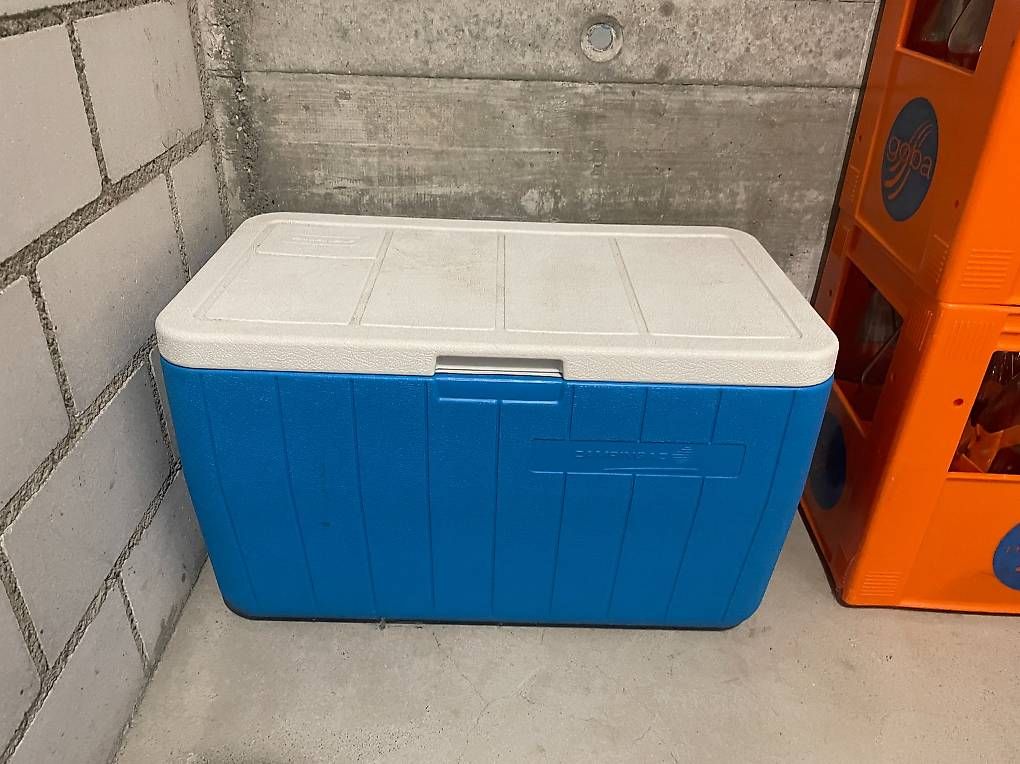 Frigoriferi & Refrigeratori: Grosse Kühlbox Campingaz 40 Liter – Usato da Dietlikon venduto da VintageStudioZurich