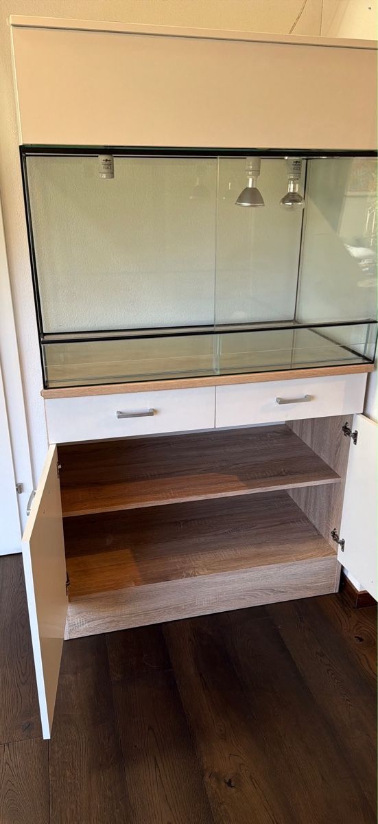 Terrario: Terrarium – Usato da Schalchen venduto da Meier1000 1