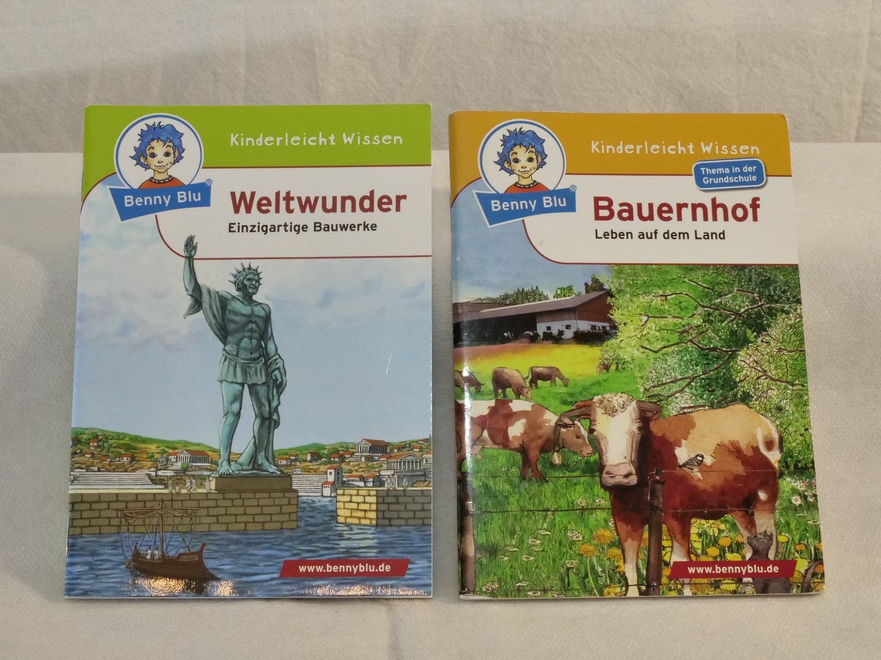 Bücher: Lot:6 verschiedene Büchlein: Benny Blu – Gebraucht aus Lustmühle von Glatisant 4