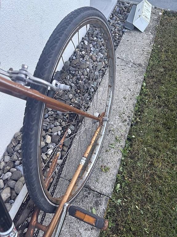 Biciclette: Singlespeed Velo Stadtvelo Rennvelo – Usato da Rüschlikon venduto da kat_td6h 4