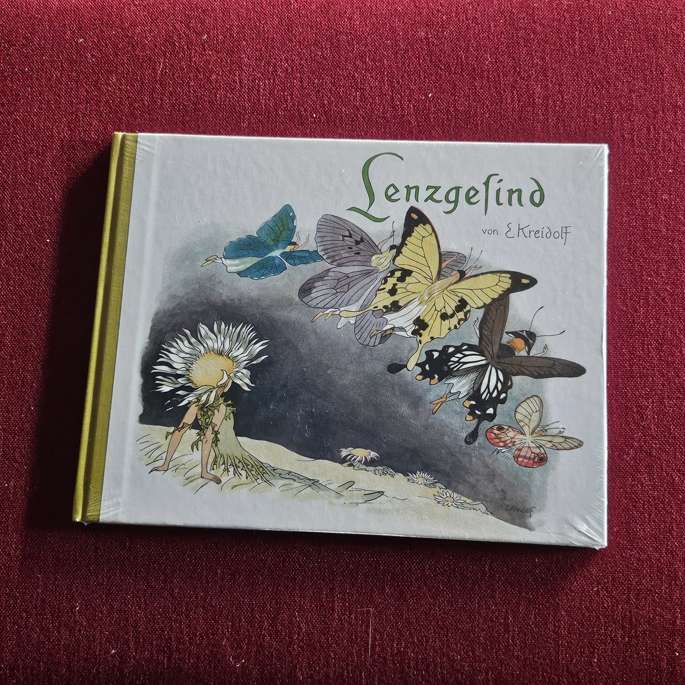 Libri: Lenzgesind von E. Kreidolf, Bilderbuch, originalverpackt – Nuovo e nell'imballaggio originale da Uster venduto da Sonnenblume212