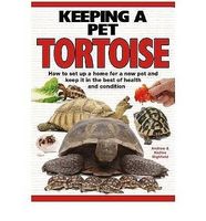 Ratgeber für Landschildkröten  - Keeping a Pet Tortoise