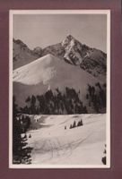 BIRRE und OCHSEN - 1951