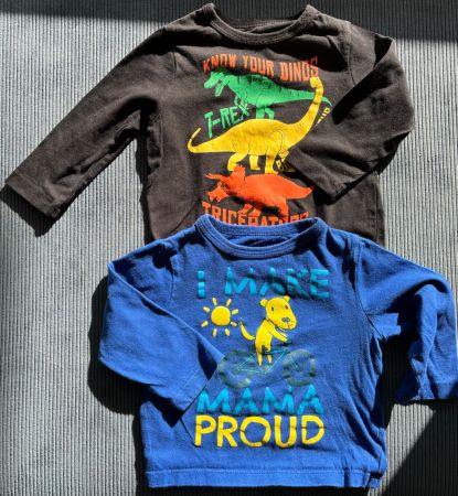 Langarmshirt, 2er-Pack, Gr. 9-12m