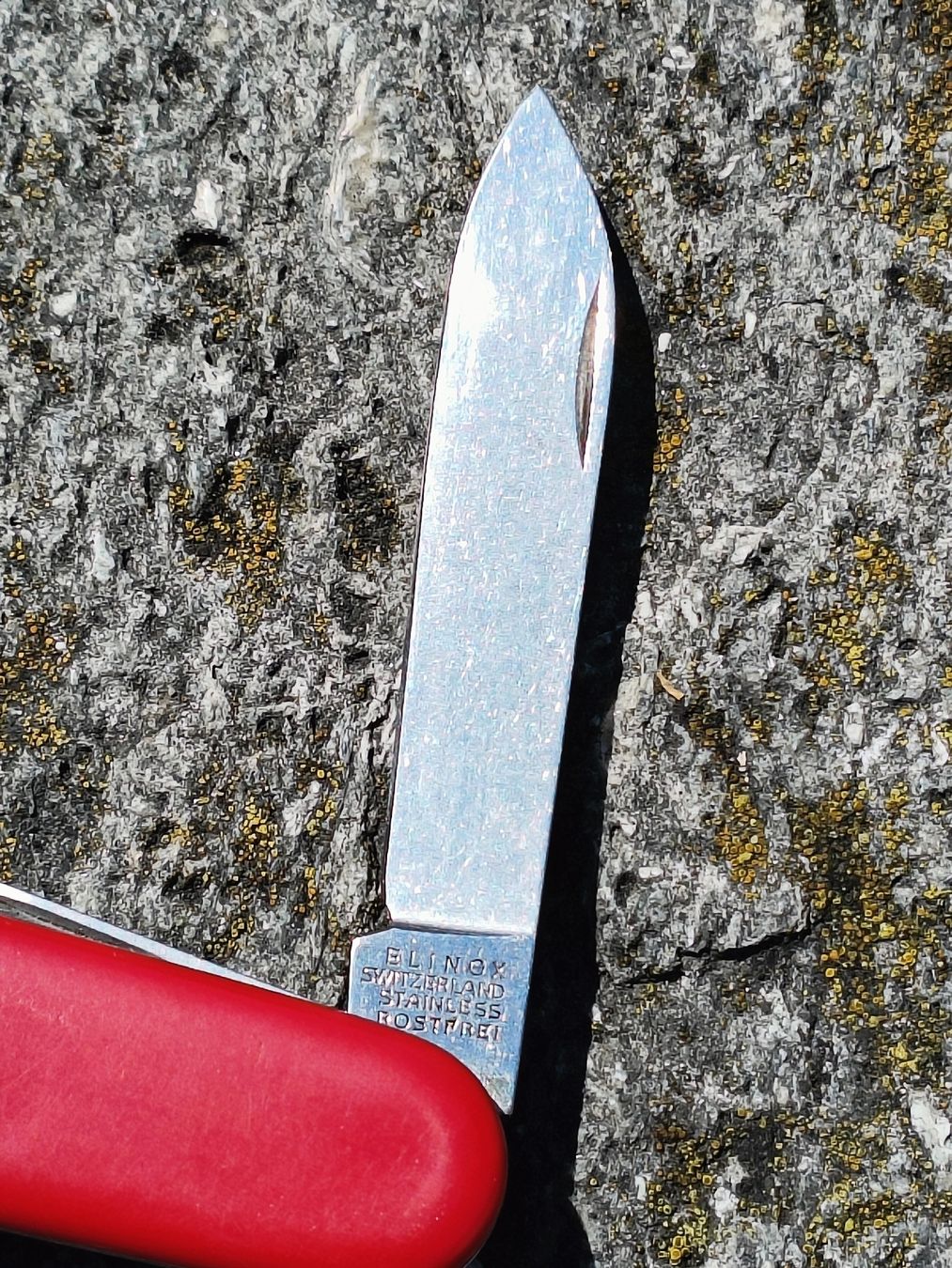 Victorinox Couteaux de poche: Sackmesser Elinox / SCHOLL  – D'occasion à Brugg AG par Ente015 2