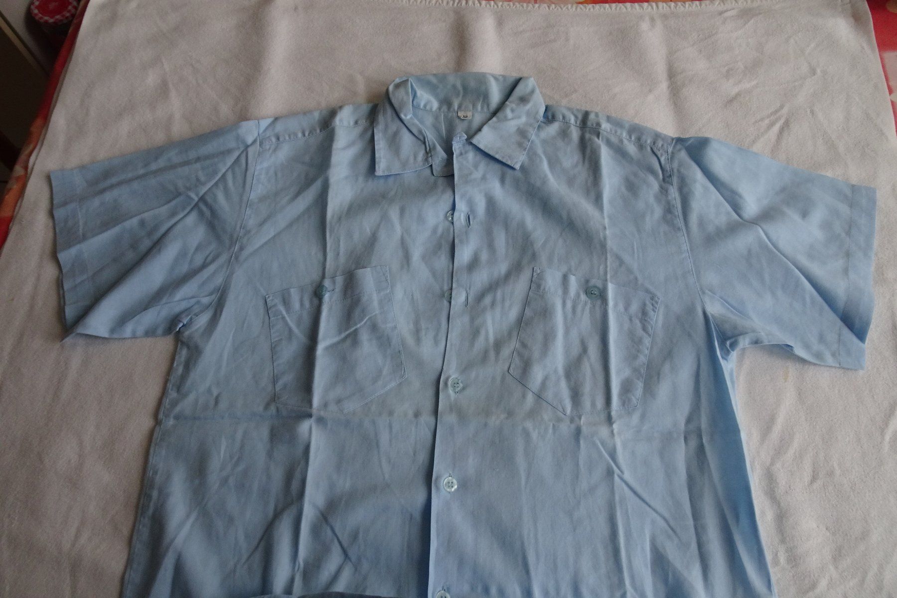 Camicie, T-shirt & Polo: hellblaues Kurzarm Hemd Gr. 152 – Usato da Strengelbach venduto da schmetterling20 1