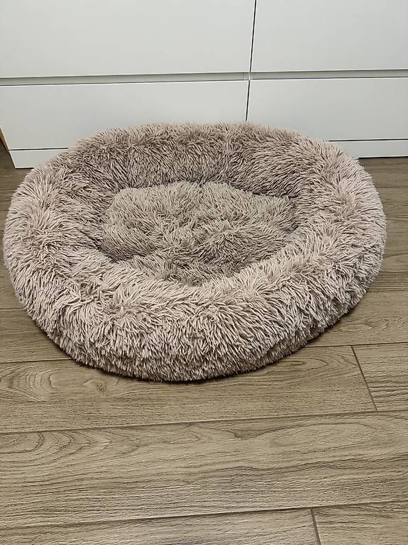 Liege- & Schlafplätze: Cuccia cane – Neu (gemäss Beschreibung) aus Rivera von Giada18 2