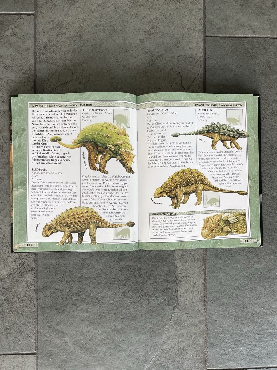 Libri: Dinosaurier Lexikon  – Usato da Zollikon venduto da yul_5wgc 2