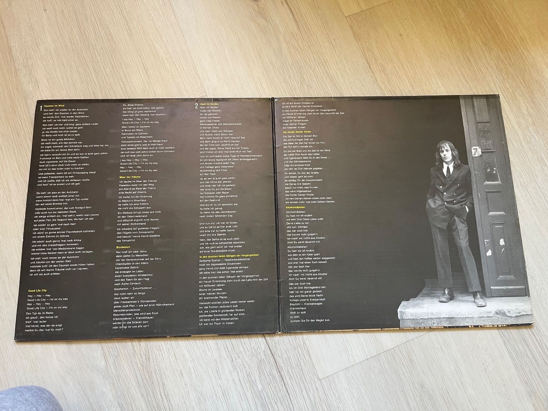Dischi in vinile: UDO LINDENBERG - DAUMEN IM WIND – Usato da Brienz BE venduto da MUNI79 2