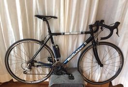 Rennvelo „Bergamont„