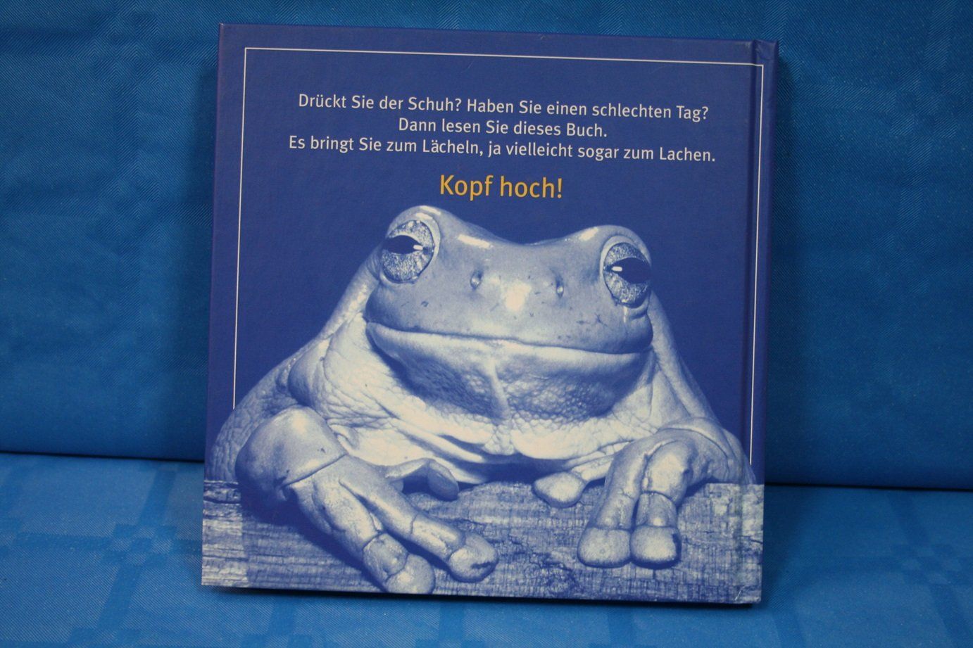 Libri: Tierbuch Kopf hoch! – Usato da Wettingen venduto da zibi137 3