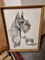 Hübsches Schnauzer Aquarell, signiert, gerahmt, Vintage