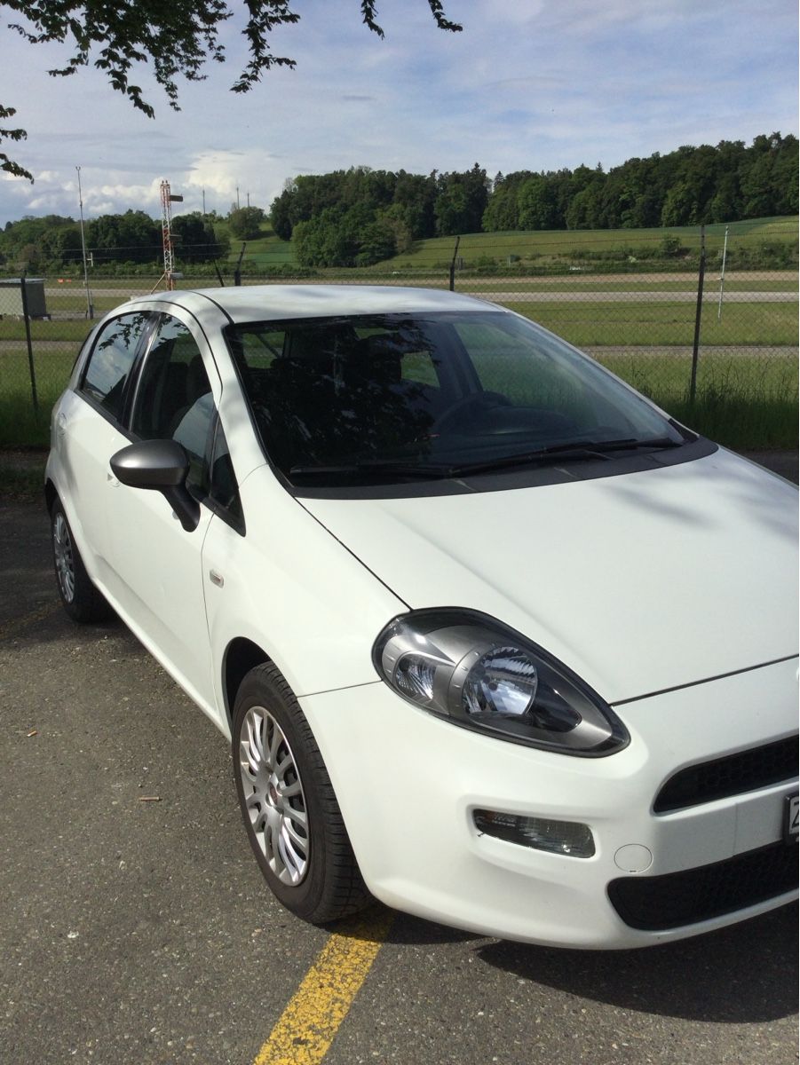 Fiat Automobili: Fiat Punto 1.2 Young – Usato da Dietikon venduto da Rocky34 7