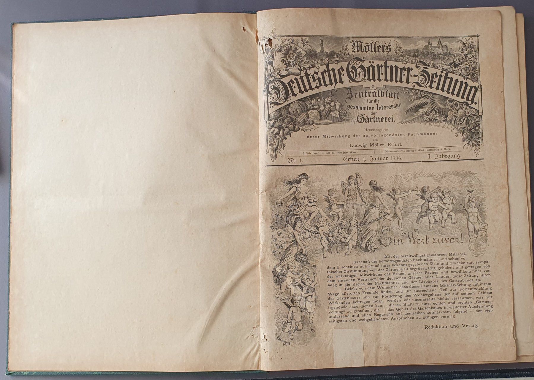 Bücher: Deutsche Gärtner-zeitung 1886+87, Top – Gebraucht aus Kreuzlingen von Rschweiz1 1