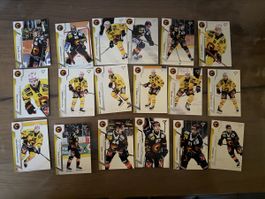 Sportzoo SC Bern Serie 1 24/25