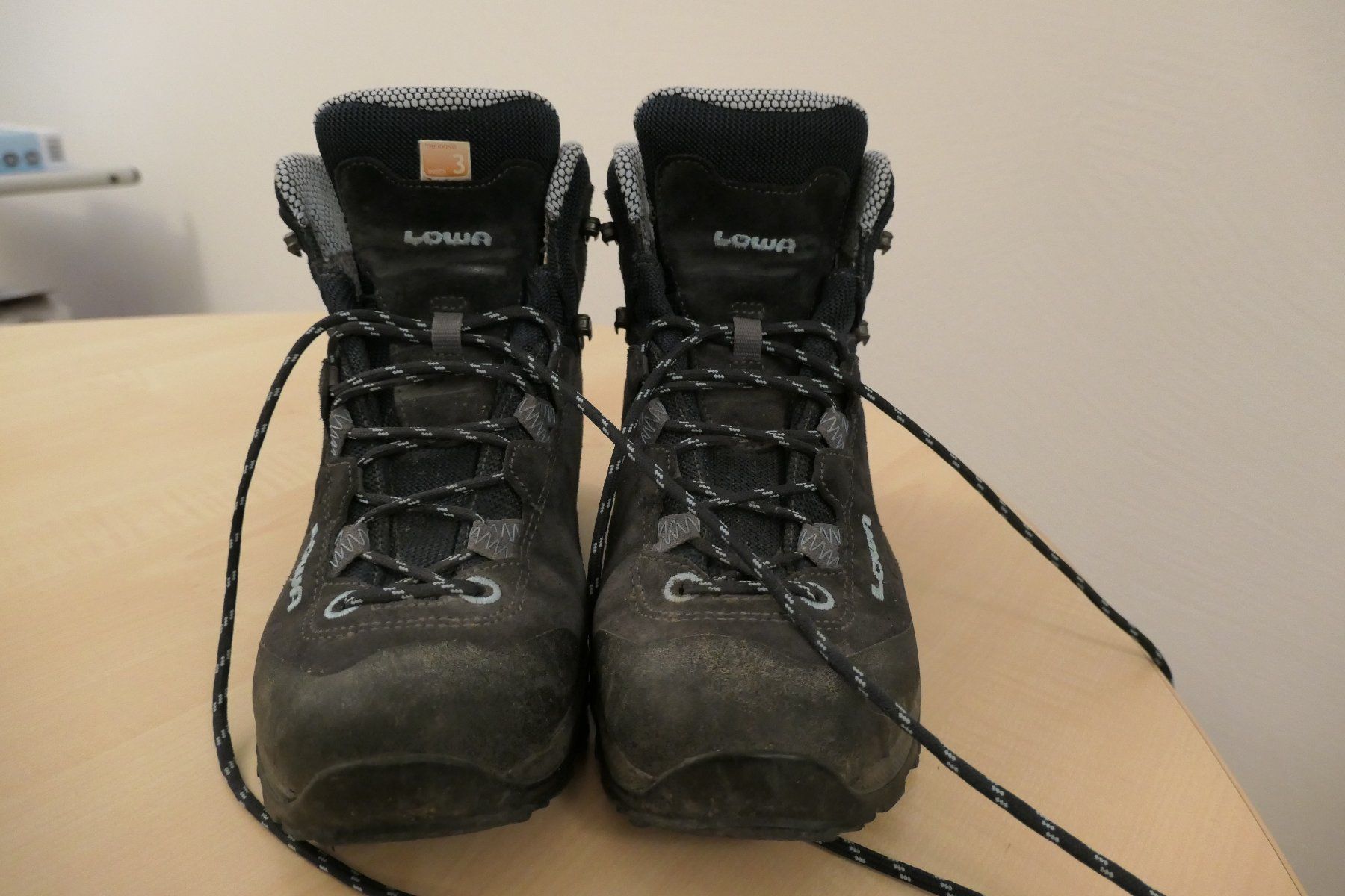 Lowa Scarpe da donna: Wanderschuhe Lowa Sassa GTX Gr. 36.5 – Usato da Hunzenschwil venduto da Fionab72 3