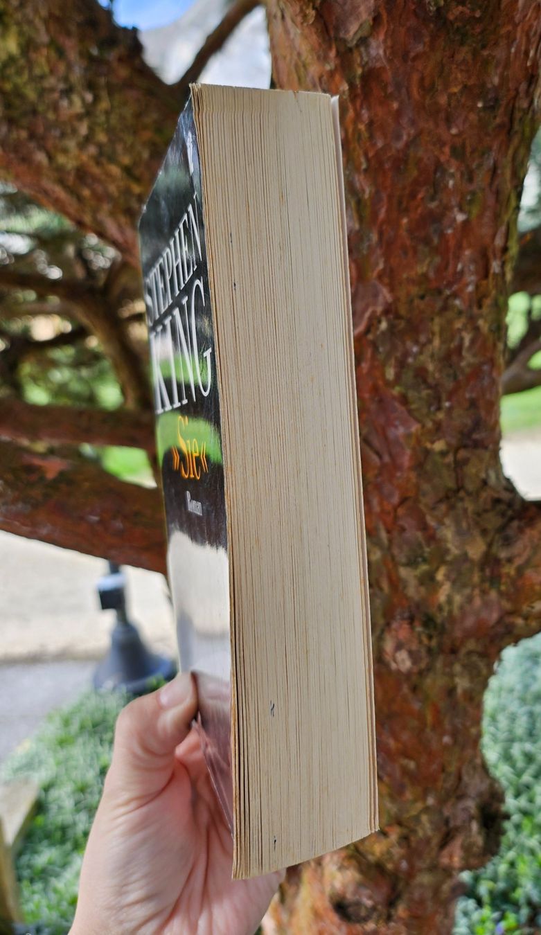 Libri: Buch - Sie /Misery - Stephen King /Horror – Usato da Siblingen venduto da Vany_McDougall 3