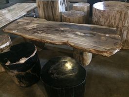 Tisch Fossil Esstisch Versteinertes Holz petrified wood