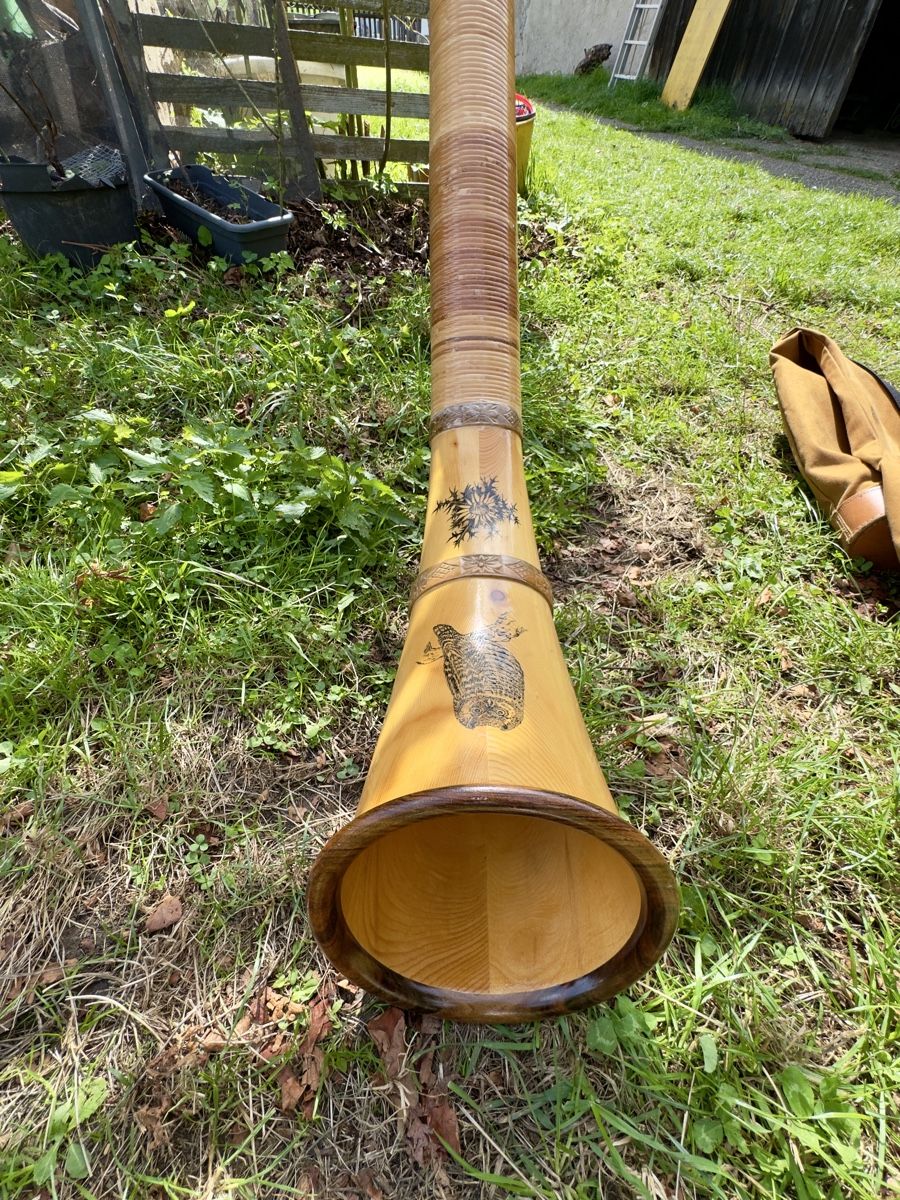 Strumenti musicali: Alphorn Fis – Usato da Herbetswil venduto da Chi_Ste97 1