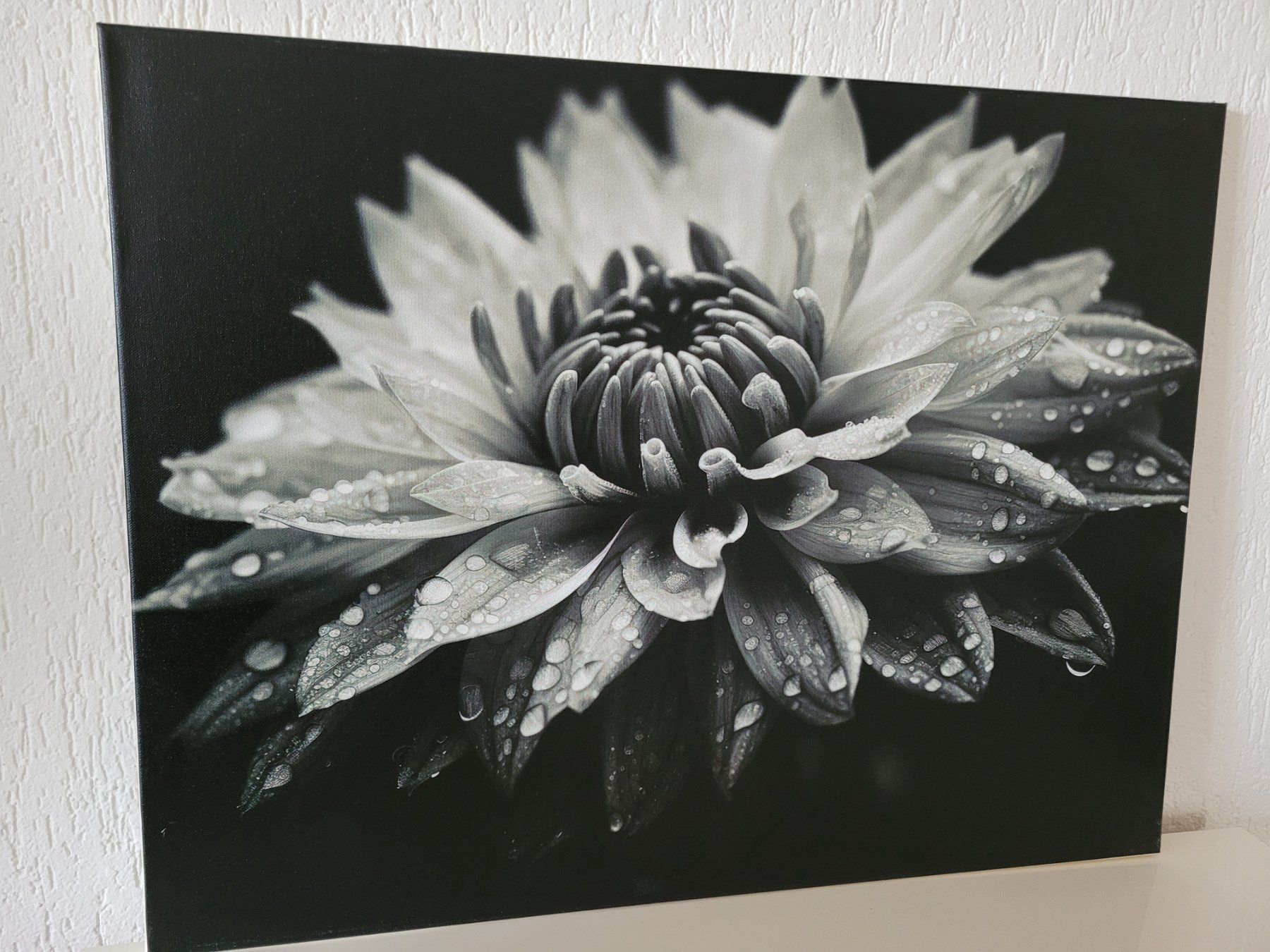 Posters & Illustrations: Bild – Neuf (Voir description) à Tann par WSD 2