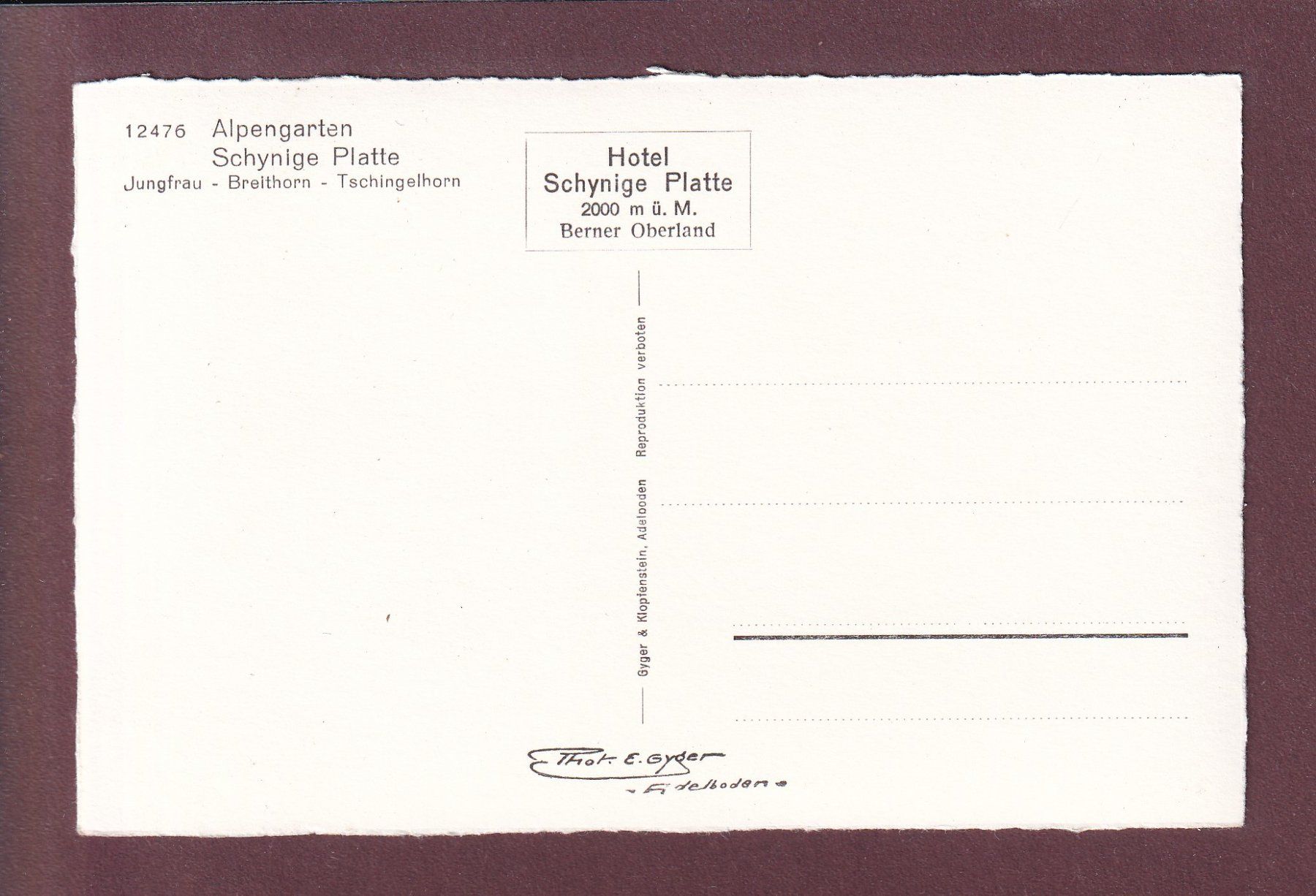 Cartoline postali: SCHYNIGE PLATTE - Alpengarten – Usato da Pully venduto da nicecards 1