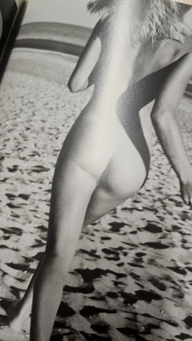 Libri: Bruno Bisang Chi mi tocca e perduto - Akt Erotik  Bilderbuch – Nuovo (secondo la descrizione) da Zürich venduto da ZH-Vintage 6