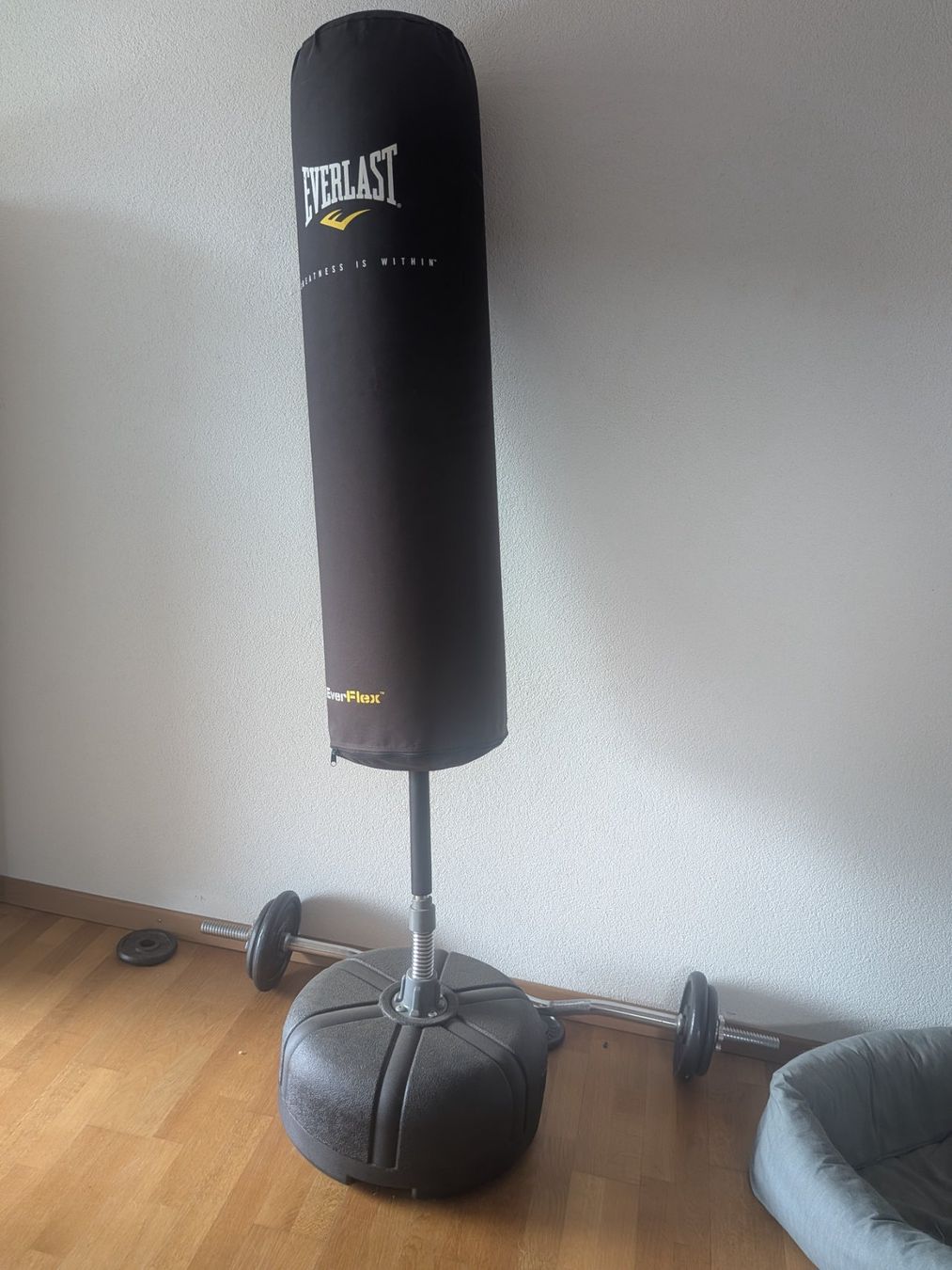 Everlast Boxsäcke: Everlast Boxsack – Gebraucht aus Henggart von brehe