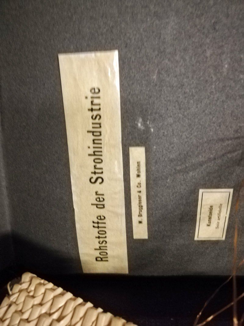 Dokumente: Strohmustermappe aus alter Zeit, ein Museums-Prunkstück – Gebraucht aus Weggis von Mylemontree 1