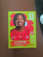 Johan Manzambi SUI 15
