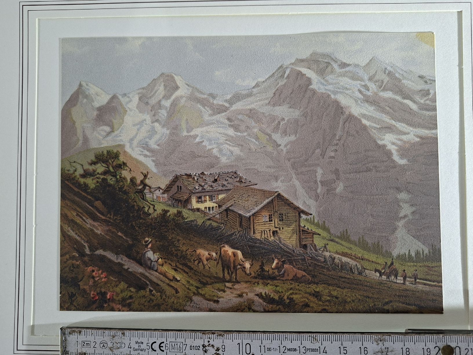 Incisioni: Lot 20, 5 Stiche  – Usato da Grindelwald venduto da carro5 5