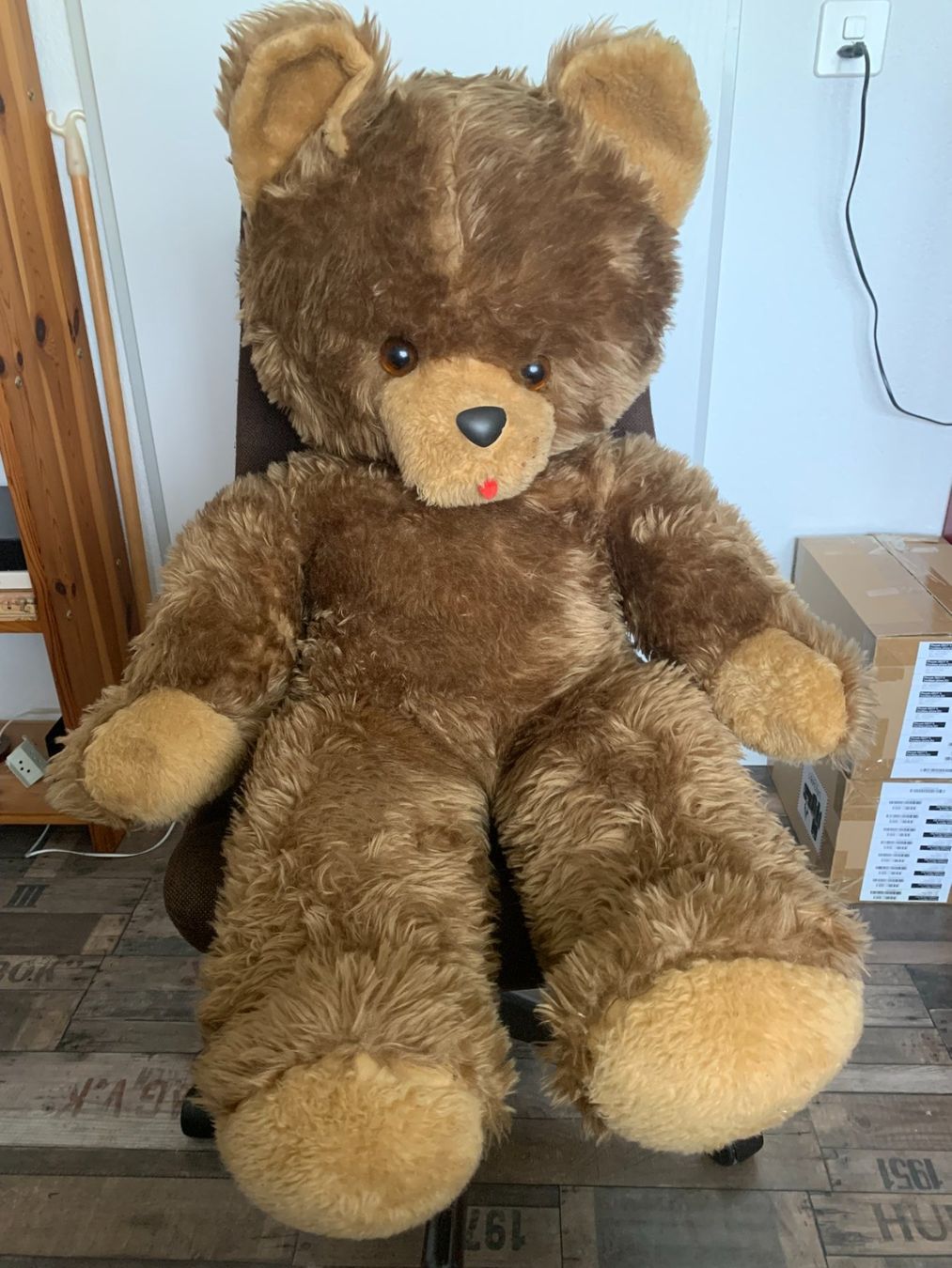 Spielzeuge: Teddybär – Gebraucht aus Gundetswil von Egro01
