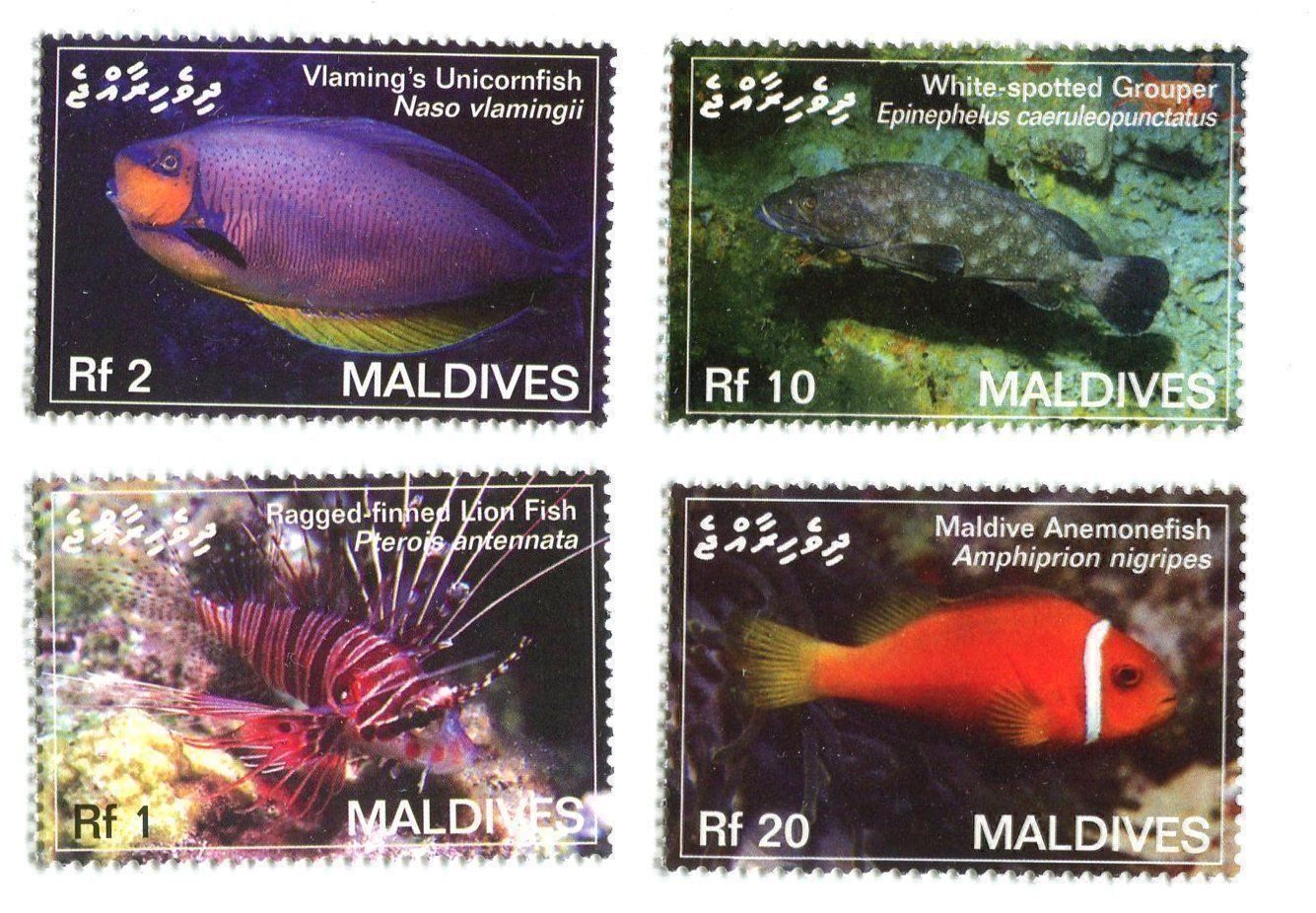 Tutti i francobolli: Briefmarken "Fische". Malediven. – Nuovo e nell'imballaggio originale da Basel venduto da Butsch5