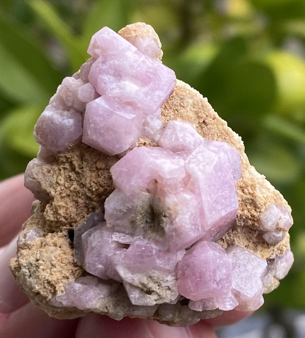 Minerali & Pietre curative: Schöner Granat Mexiko Santa Eulalia  – Usato da Selzach venduto da 321compac 1