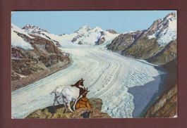 ALETSCHGLETSCHER - Ziege - 1959