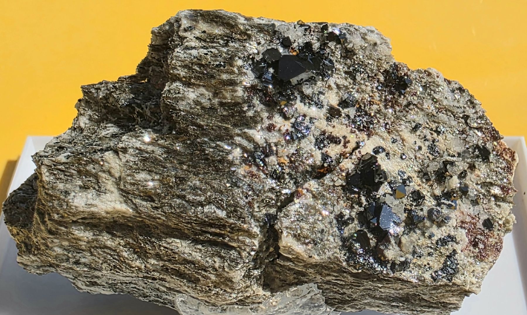 Minerali & Pietre curative: Oktaeder Magnetit perfekt und Glanz Binntal – Usato da Glis venduto da nbu_65ys 2