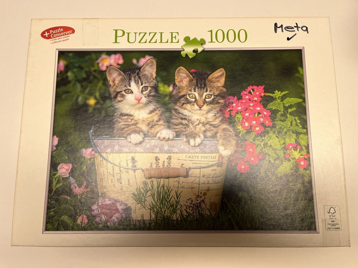 Puzzle: Puzzle Kätzchen 1000 Teile – Usato da Eschenbach SG venduto da Joey-Li