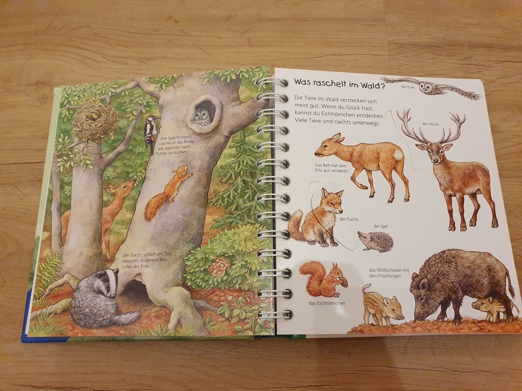 Libri: Wieso weshalb warum junior: Lexikon Tiere – Usato da Heinrichswil venduto da frankie19860 2