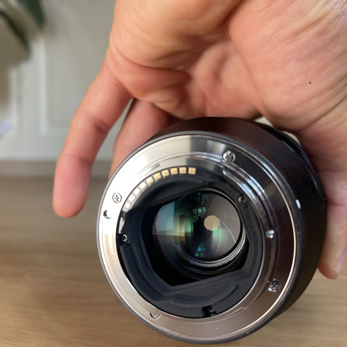 Sony Obiettivi: Sony FE 85mm f/1.8 | UV-Schutzfilter inklusive – Usato da Rüti ZH venduto da Silvan_Pawli 2