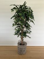 Hochwertige Kunstpflanze (180 cm) mit Echtholzstamm – NEU