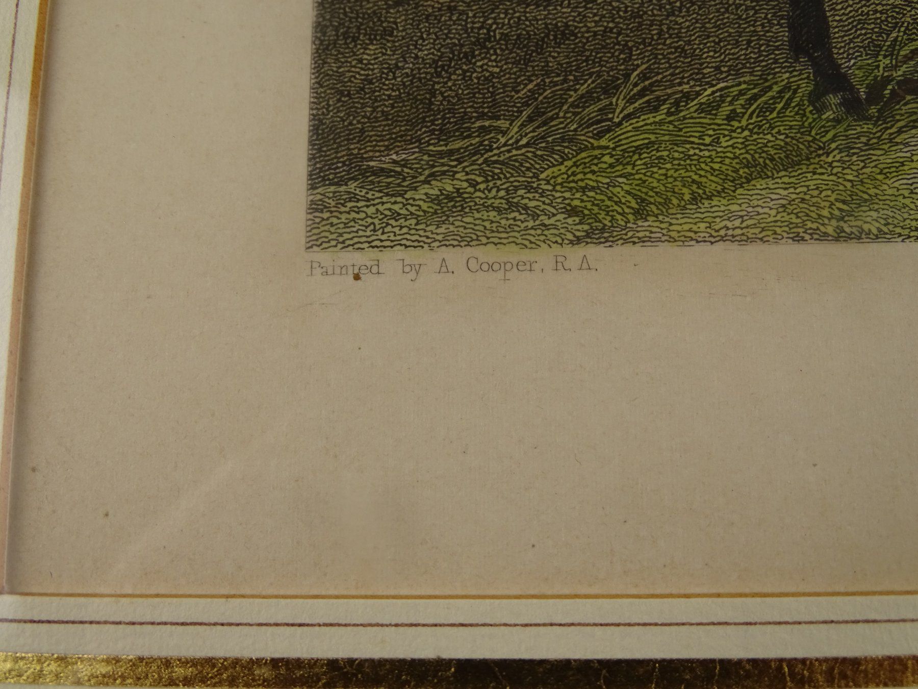 Stiche: RENNPFERD AUF WEIDE, STAHLSTICH UM 1850 – Gebraucht aus Grüningen von Kartensammler 5