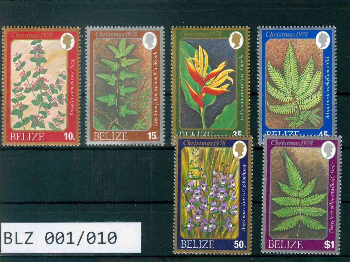 Tutti i francobolli: BELIZE 6 BRIEFMARKEN BLUMEN – Nuovo (secondo la descrizione) da Marly venduto da Stampfinder