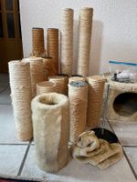Katzenbaum